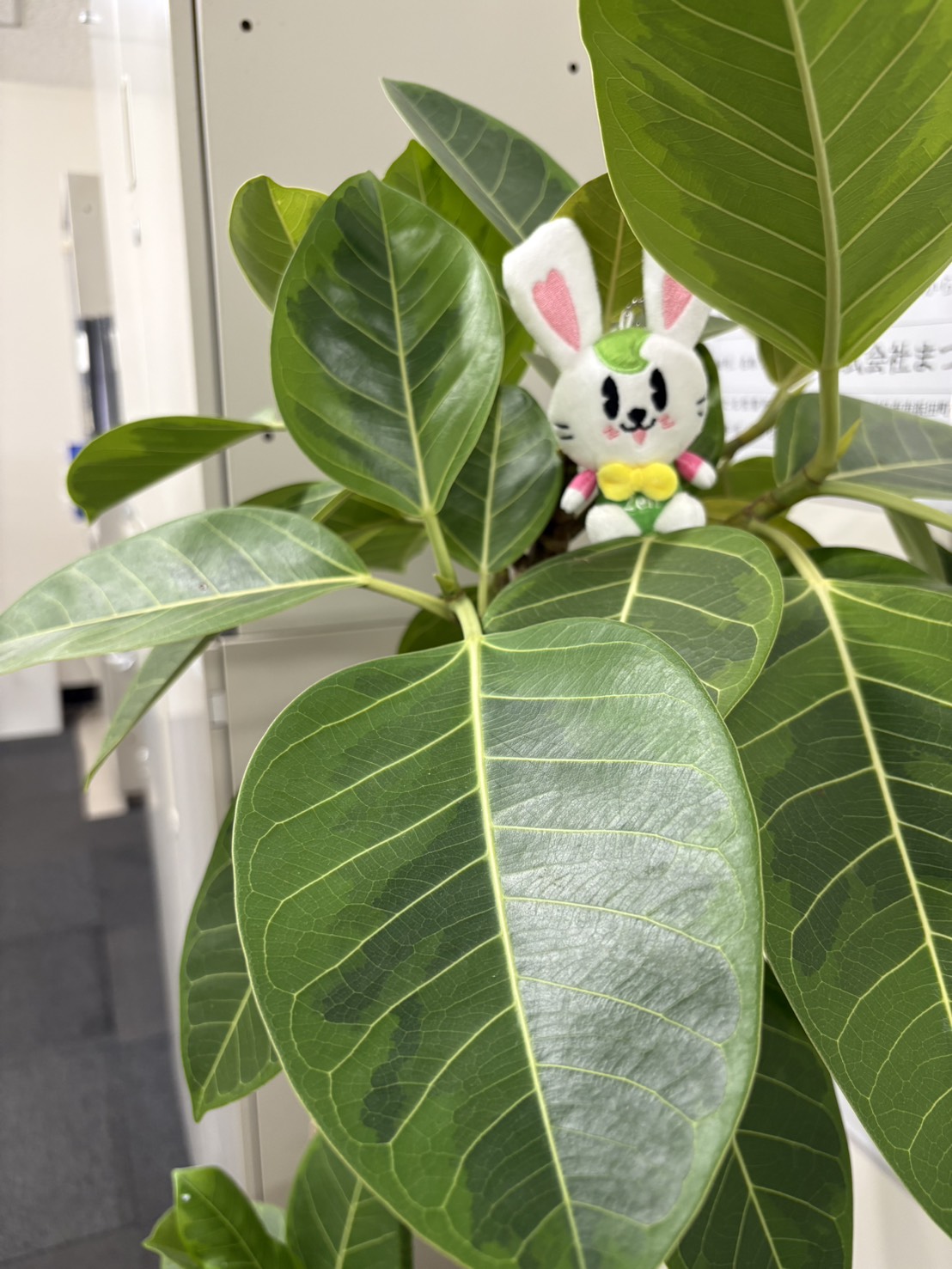 四日市で賃貸管理はプロの不動産会社にお任せ！